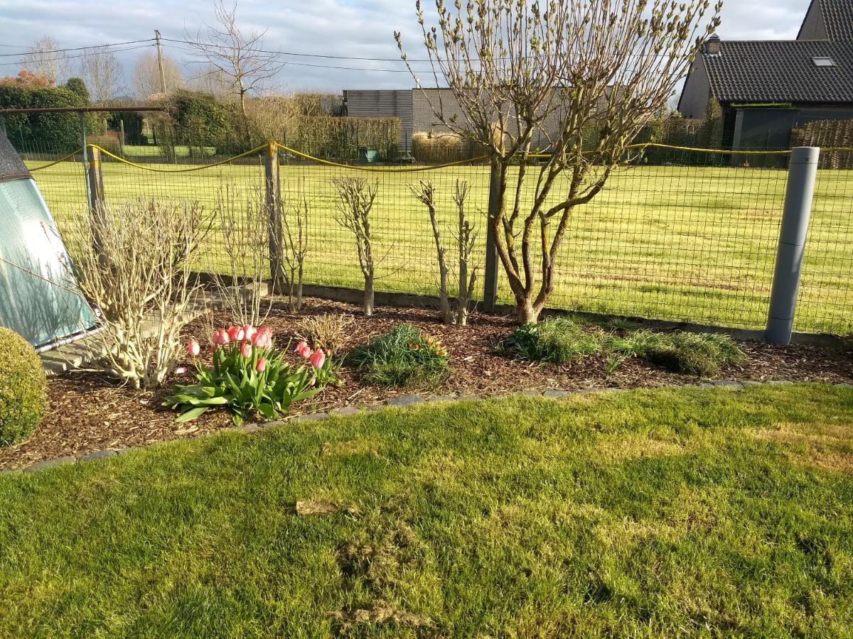 Dhofstede Vakantiewoning Oudenaarde Esterno foto