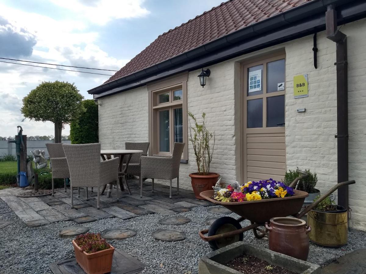 Dhofstede Vakantiewoning Oudenaarde Esterno foto