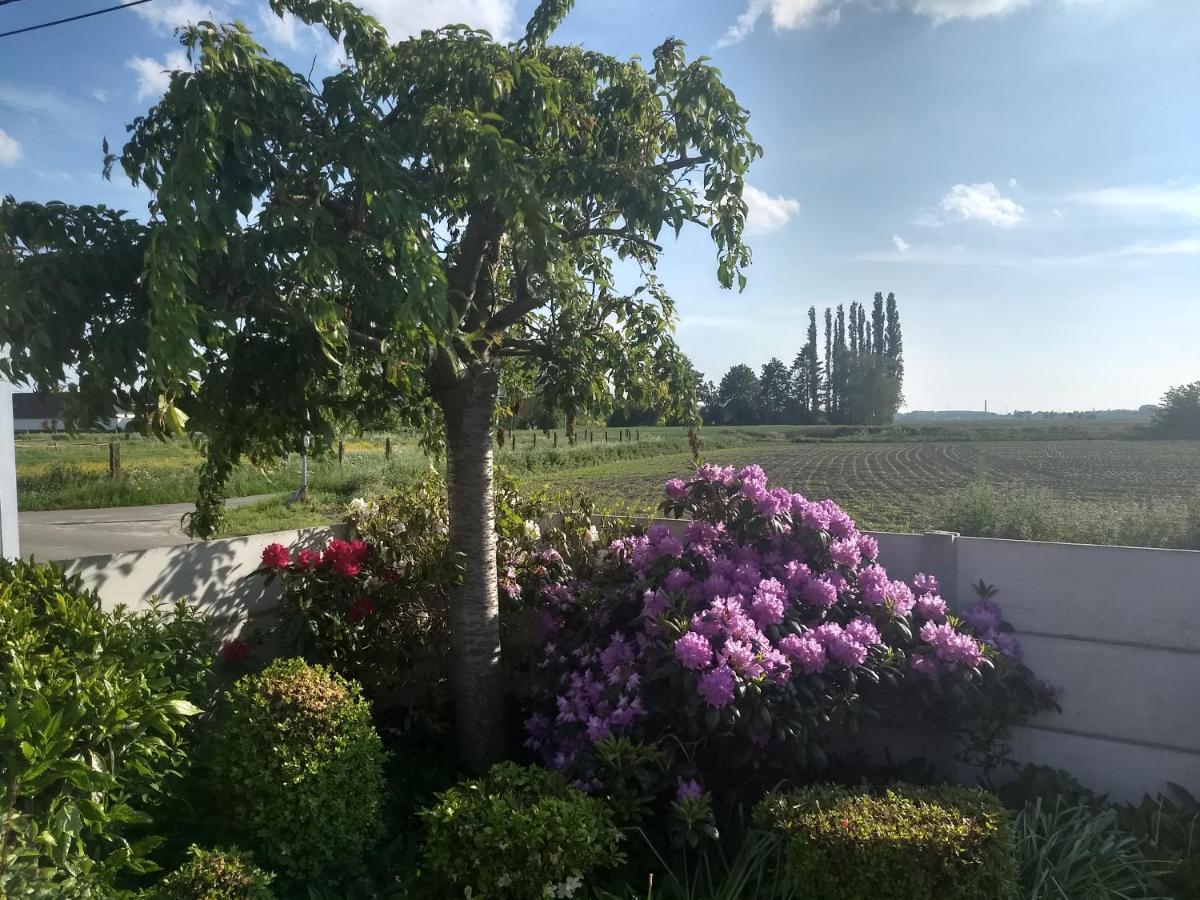 Dhofstede Vakantiewoning Oudenaarde Esterno foto