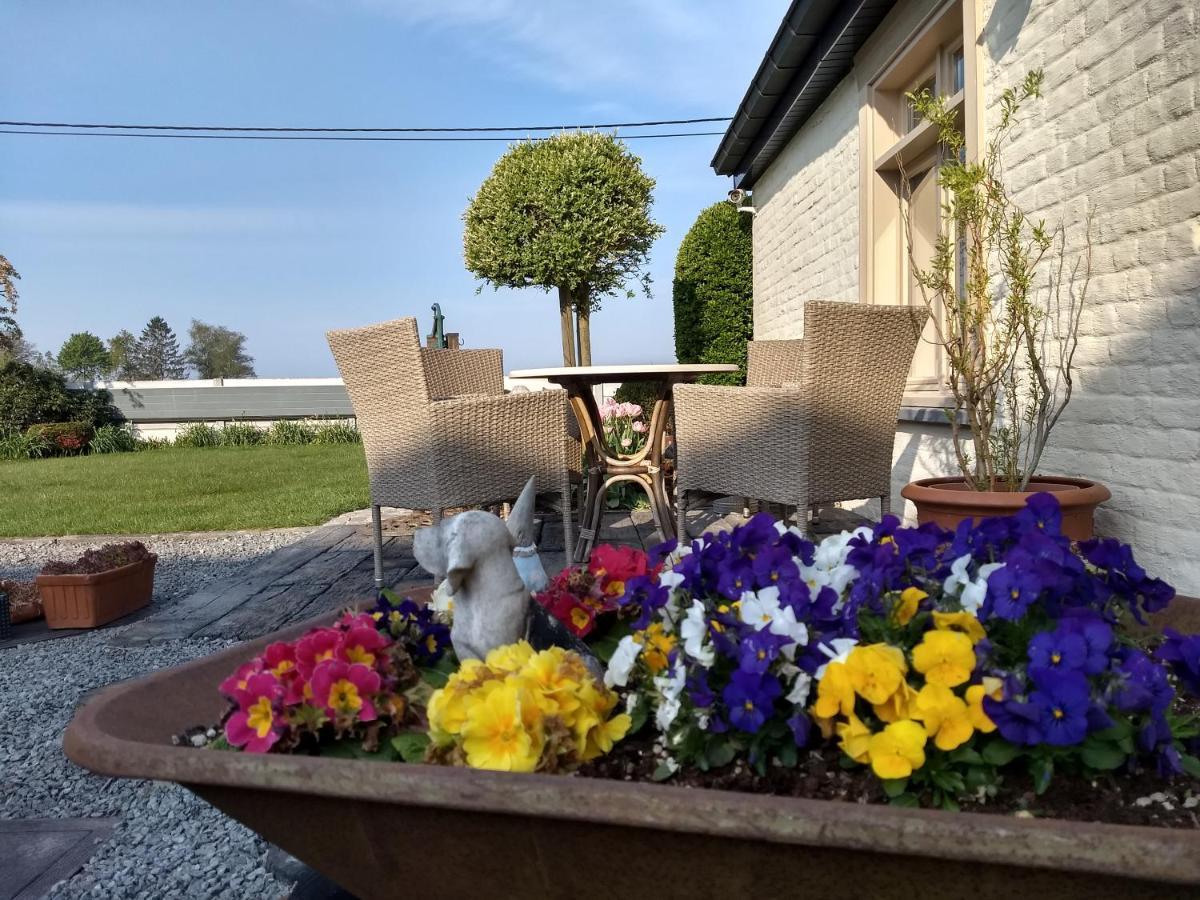Dhofstede Vakantiewoning Oudenaarde Esterno foto